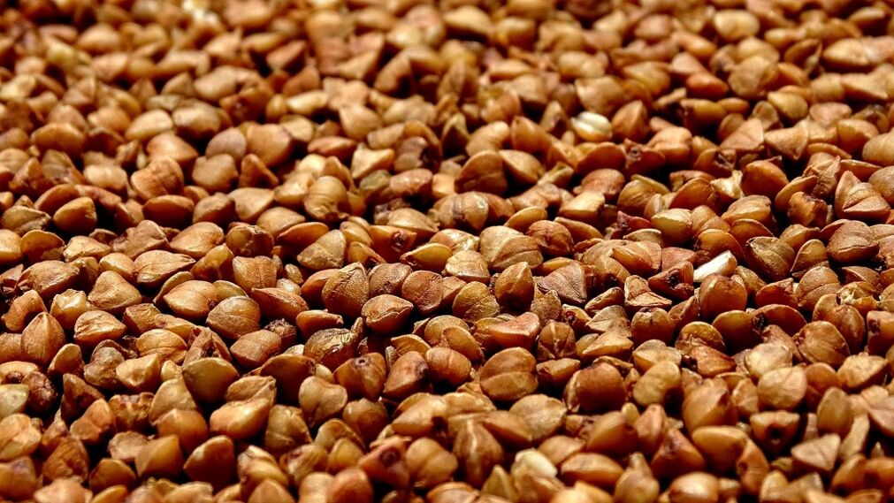 Tipos de dieta